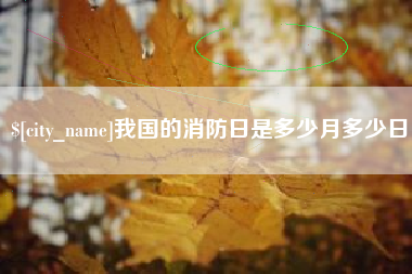 安庆我国的消防日是多少月多少日