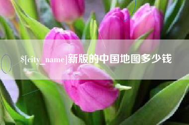 安庆新版的中国地图多少钱