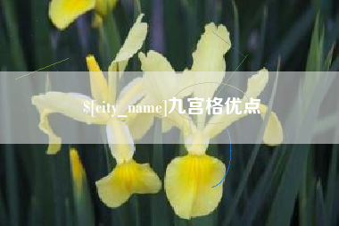 安庆九宫格优点