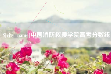 安庆中国消防救援学院高考分数线