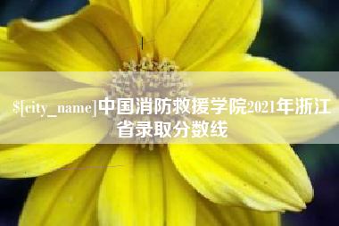 安庆中国消防救援学院2021年浙江省录取分数线