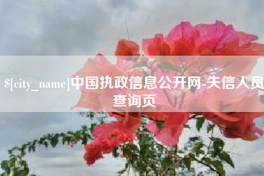 安庆中国执政信息公开网-失信人员查询页