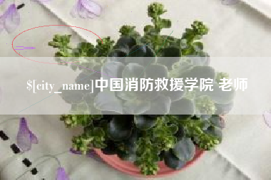安庆中国消防救援学院 老师