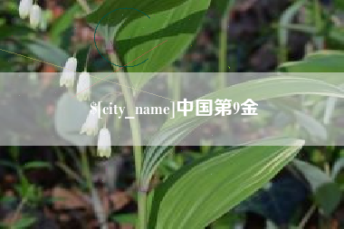 安庆中国第9金