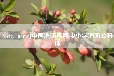 安庆中国消防官网中小学消防公开课
