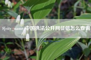 安庆中国执法公开网征信怎么查询