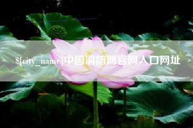 安庆中国消防网官网入口网址
