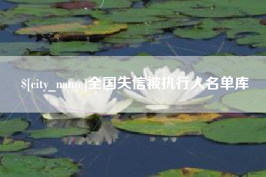安庆全国失信被执行人名单库