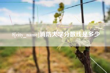安庆消防大学分数线是多少