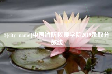 安庆中国消防救援学院2019录取分数线
