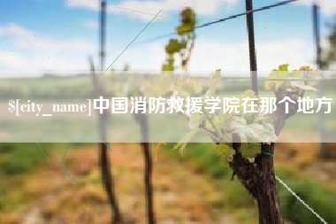 安庆中国消防救援学院在那个地方