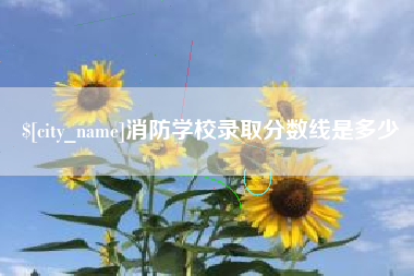 安庆消防学校录取分数线是多少