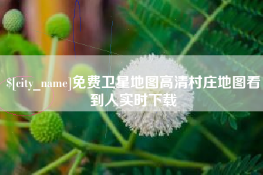 安庆免费卫星地图高清村庄地图看到人实时下载