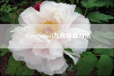 安庆九宫排盘方法