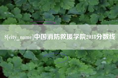 安庆中国消防救援学院2018分数线