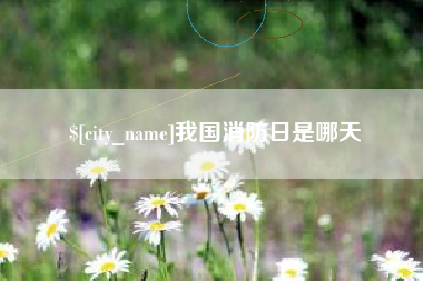 安庆我国消防日是哪天