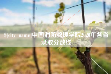 安庆中国消防救援学院2020年各省录取分数线