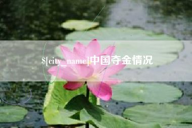 安庆中国夺金情况