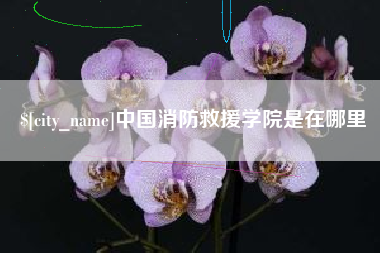 安庆中国消防救援学院是在哪里