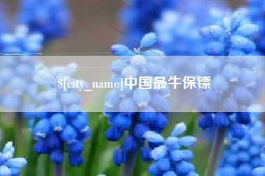 安庆中国最牛保镖