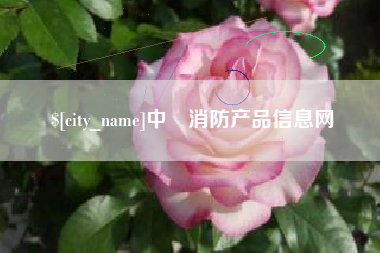 安庆中囯消防产品信息网