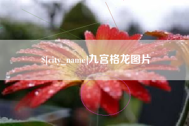 安庆九宫格龙图片