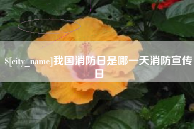 安庆我国消防日是哪一天消防宣传日