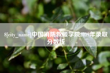 安庆中国消防救援学院2019年录取分数线