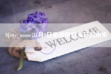 安庆11月9日是消防安全日的由来