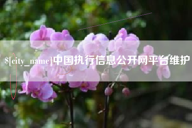 安庆中国执行信息公开网平台维护