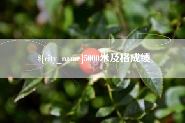 安庆5000米及格成绩