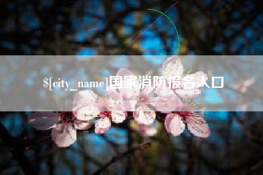 安庆国家消防报名入口