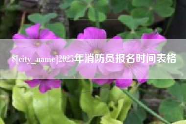 安庆2025年消防员报名时间表格