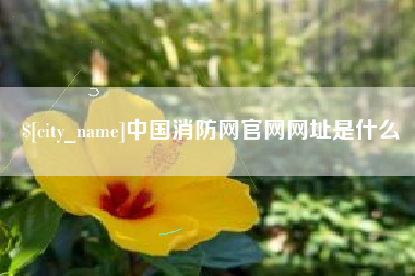 安庆中国消防网官网网址是什么