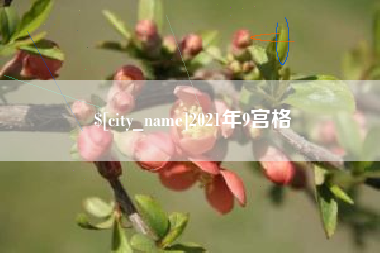 安庆2021年9宫格