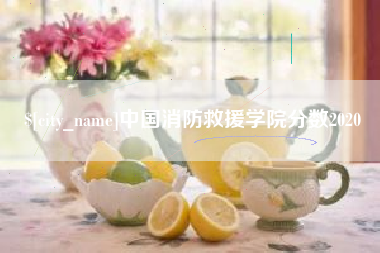 安庆中国消防救援学院分数2020
