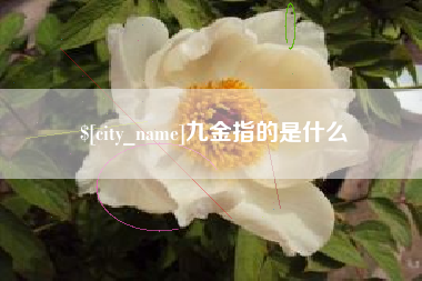 安庆九金指的是什么