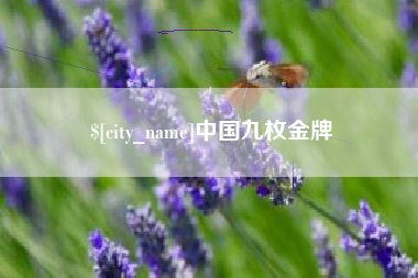 安庆中国九枚金牌