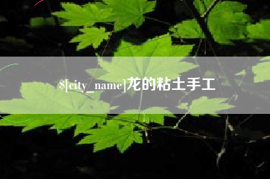 安庆龙的粘土手工