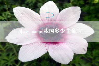 安庆我国多少个金牌