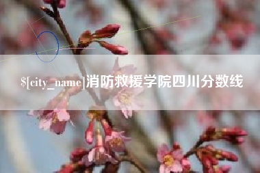 安庆消防救援学院四川分数线