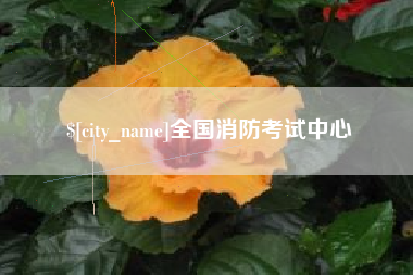 安庆全国消防考试中心