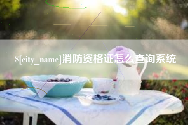 安庆消防资格证怎么查询系统