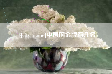 安庆中国的金牌有几名