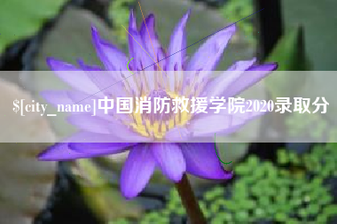 安庆中国消防救援学院2020录取分