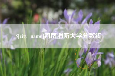 安庆河南消防大学分数线