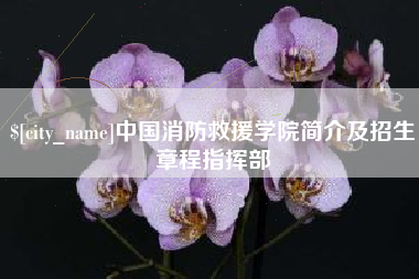 安庆中国消防救援学院简介及招生章程指挥部