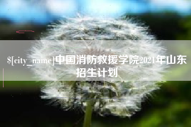 安庆中国消防救援学院2021年山东招生计划