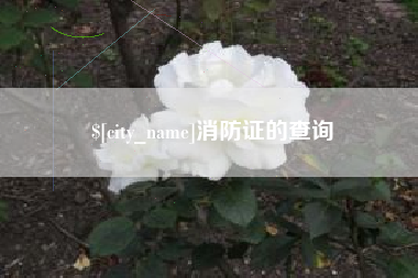 安庆消防证的查询