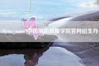 安庆中国消防救援学院官网招生办